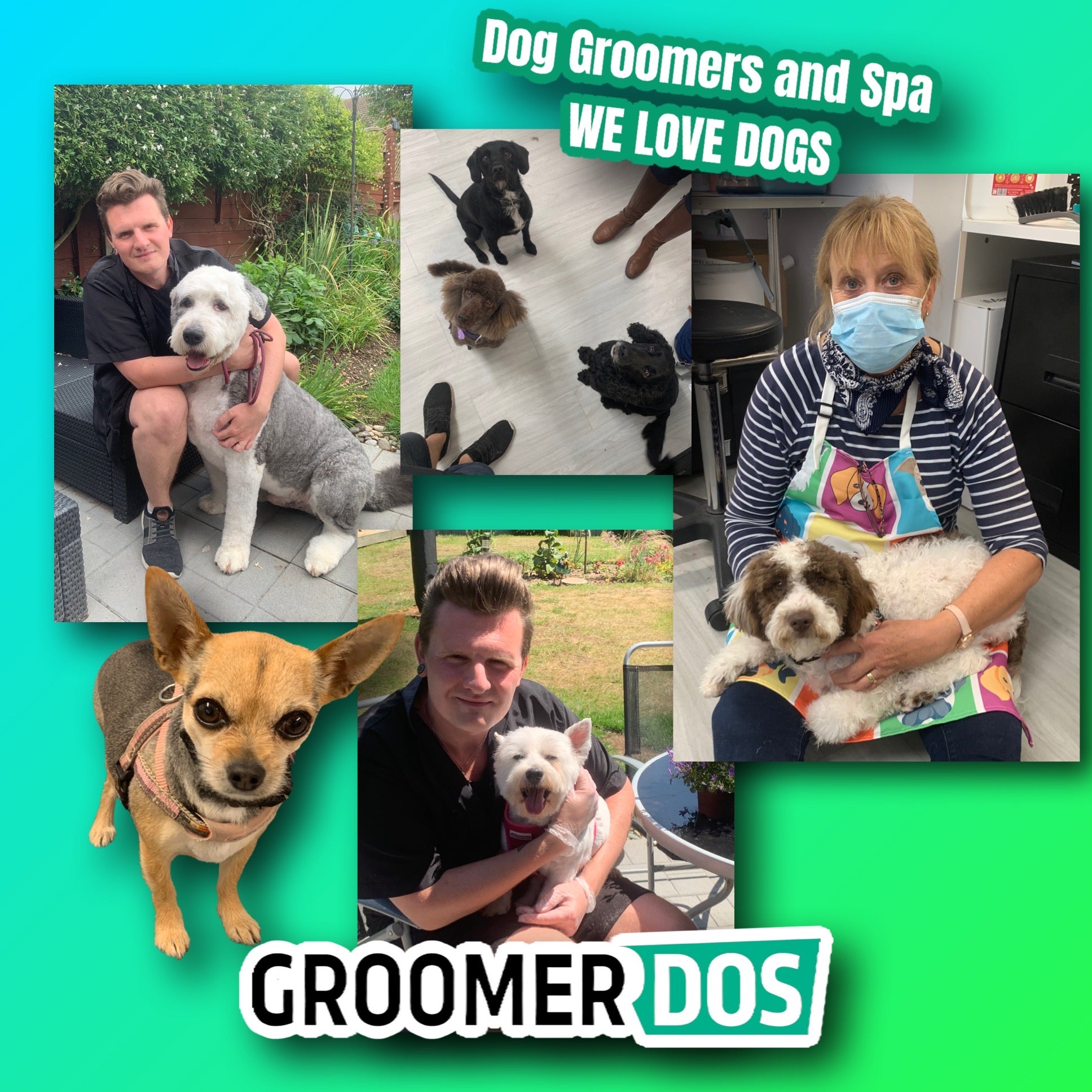 I love best sale dogs pet grooming